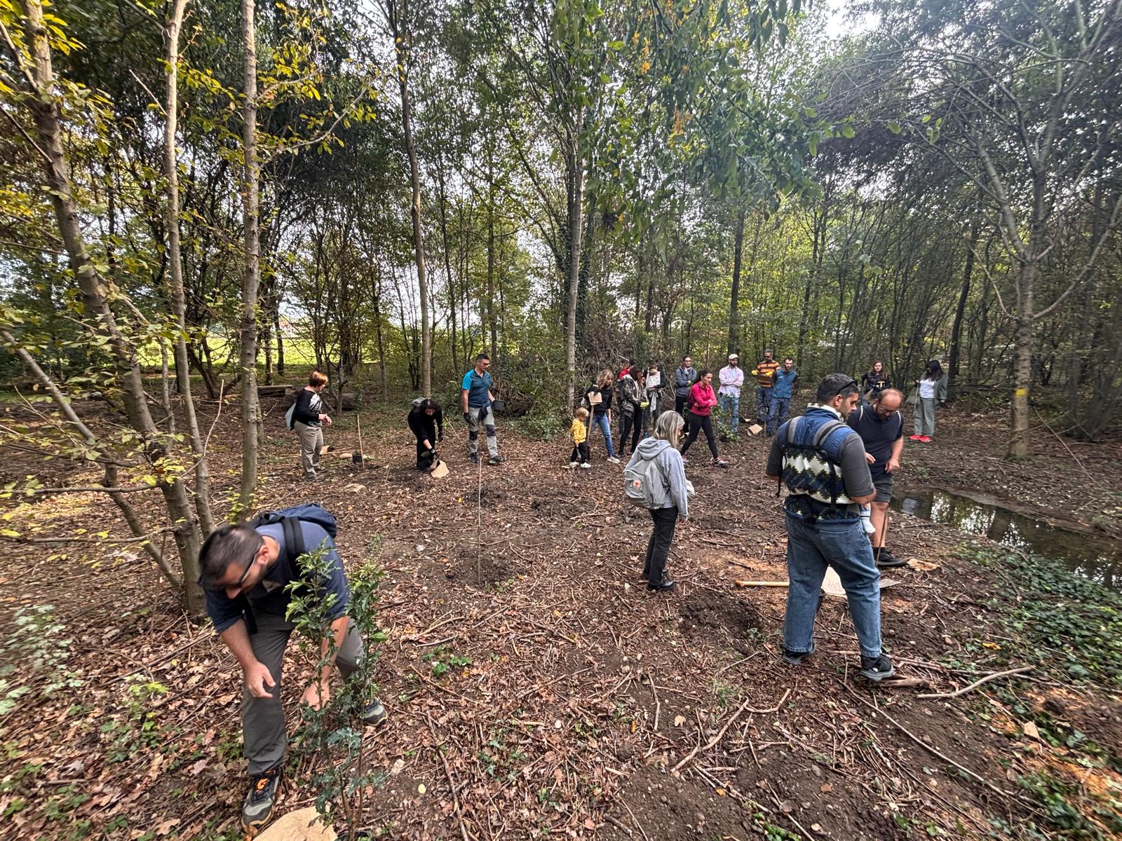 Participants beginning to plant trees